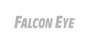 FALCON EYE